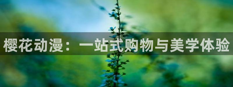 番薯动漫官网下载
