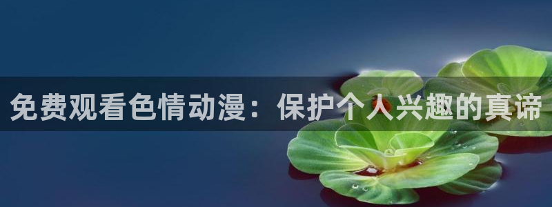 番薯动漫网
