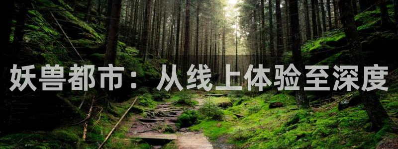 番薯动漫官网在线观看：妖兽都市：从线上体验至深度
